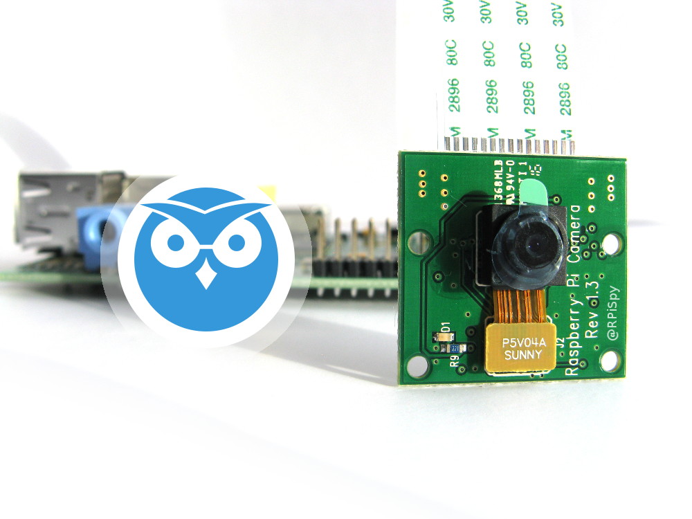 pi zero surveillance camera