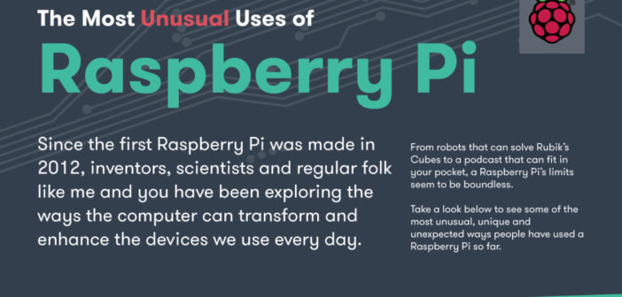 The Most Unusual Uses for the Raspberry Pi Infographic