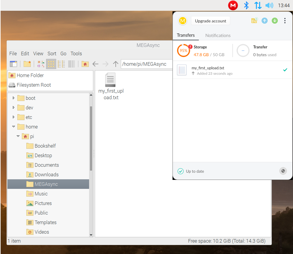 MEGAsync example upload from Pi to cloud